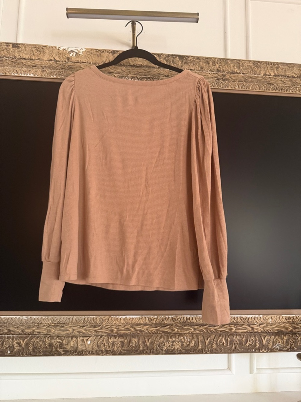 Ann Taylor Long Sleeve Scoop Neck Top in Light Brown